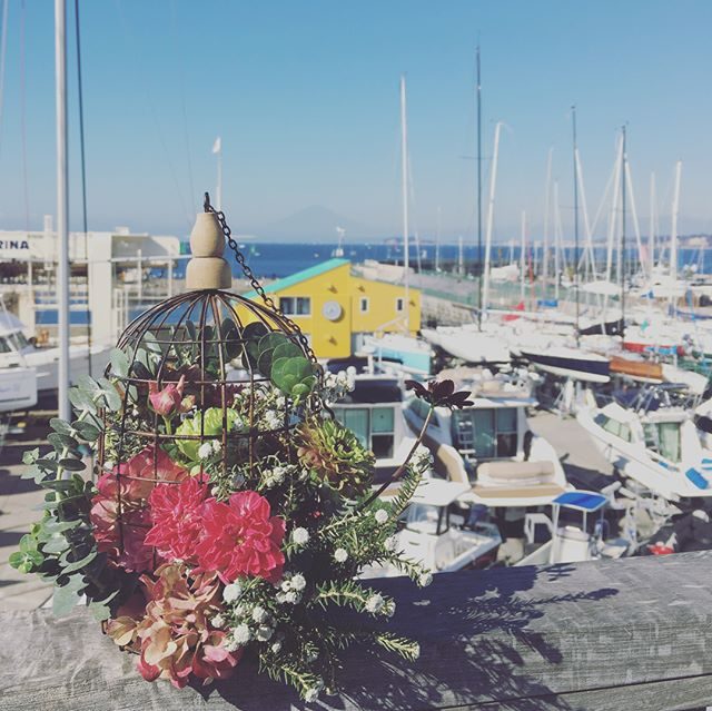 本日午前のお祝い花と青空と富士山。tricca balconyにて。#富士山#ブーケ#七五三#お祝い花#出張撮影#葉山#快晴#bouquet #amigokitchen (Instagram)