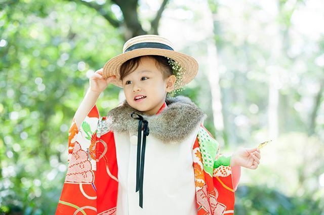 @alku_mi スタイリングの七五三。店内で着た エプロンお被布からお色直ししてお外へお出かけ。秋のお寺でいっぱい遊びましょうアルクウミさんのレンタル着物でのロケーション撮影はリピーターさんのみのサービスとなっております。#出張撮影#レンタル着物#七五三#写真好きな人と繋がりたい#ig_japan#3歳七五三#ロケーションフォト#ハンドメイドこども服#お被布#ハンドメイドお被布#鎌倉#湘南#コドモノ#キッズモデル#子育て#神奈川#kidsphotography#着物 (Instagram)